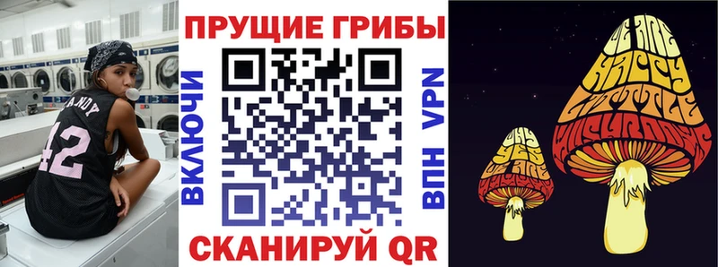 где купить наркоту  Кирово-Чепецк  Псилоцибиновые грибы мицелий 