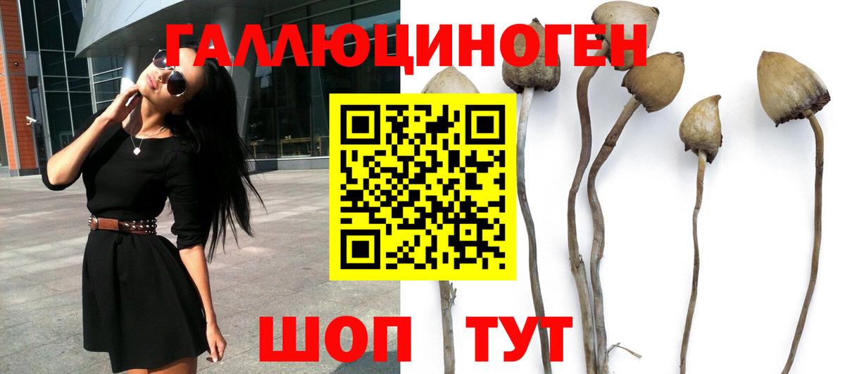 Псилоцибиновые грибы ЛСД  купить наркотики сайты  Кирово-Чепецк  Вход с VPN 