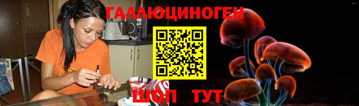 Галлюциногенные грибы Magic Shrooms Кирово-Чепецк